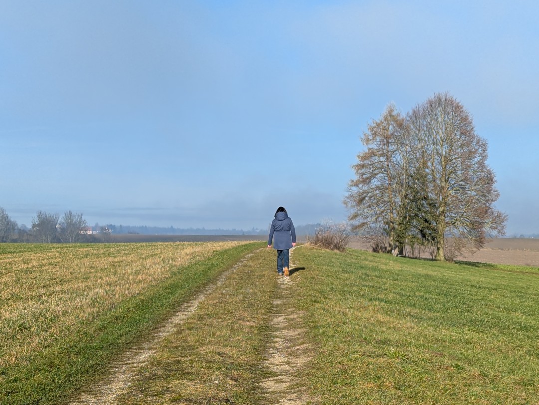 2024-12-25-donauwoerth-galgenbergrundweg-39-rosi.jpg