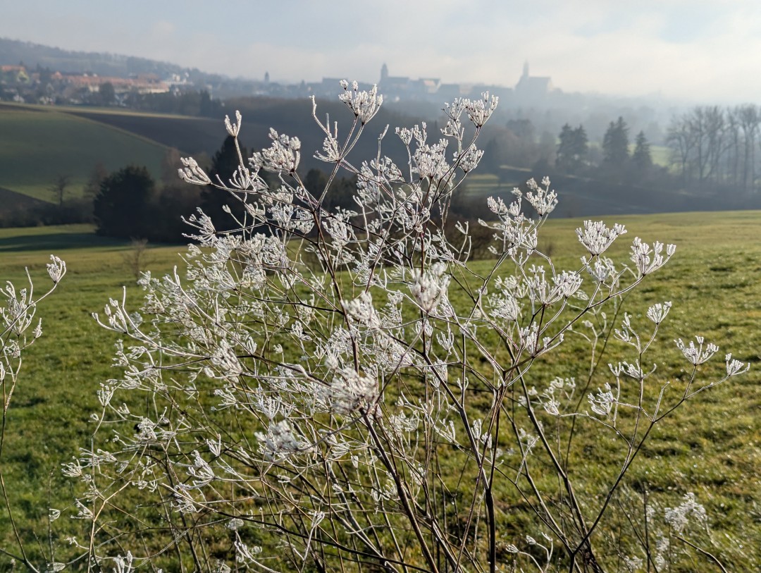 2024-12-25-donauwoerth-galgenbergrundweg-43.jpg