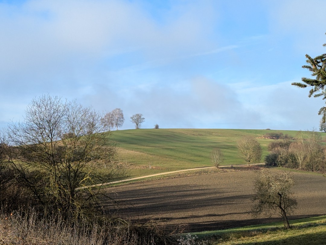 2024-12-25-donauwoerth-galgenbergrundweg-8.jpg