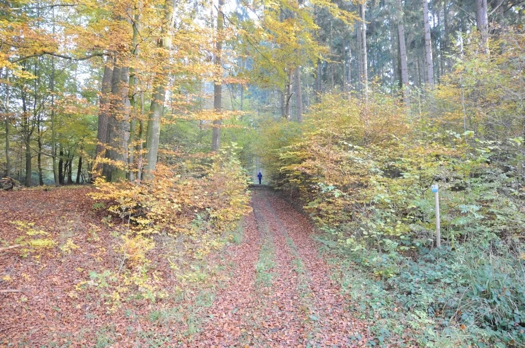 wandern-donau-ries