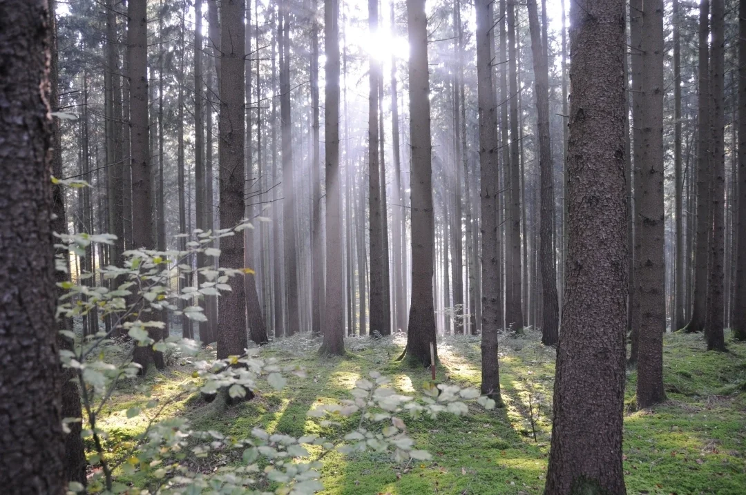 wandern-donau-ries
