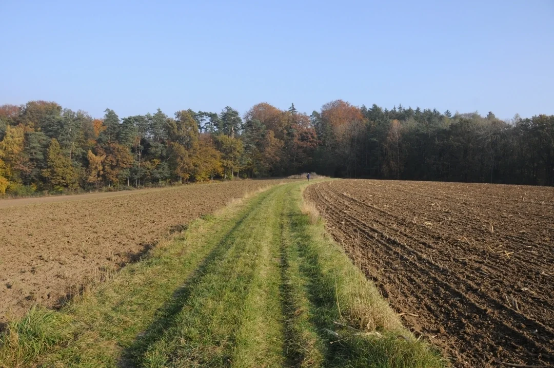wandern-donau-ries