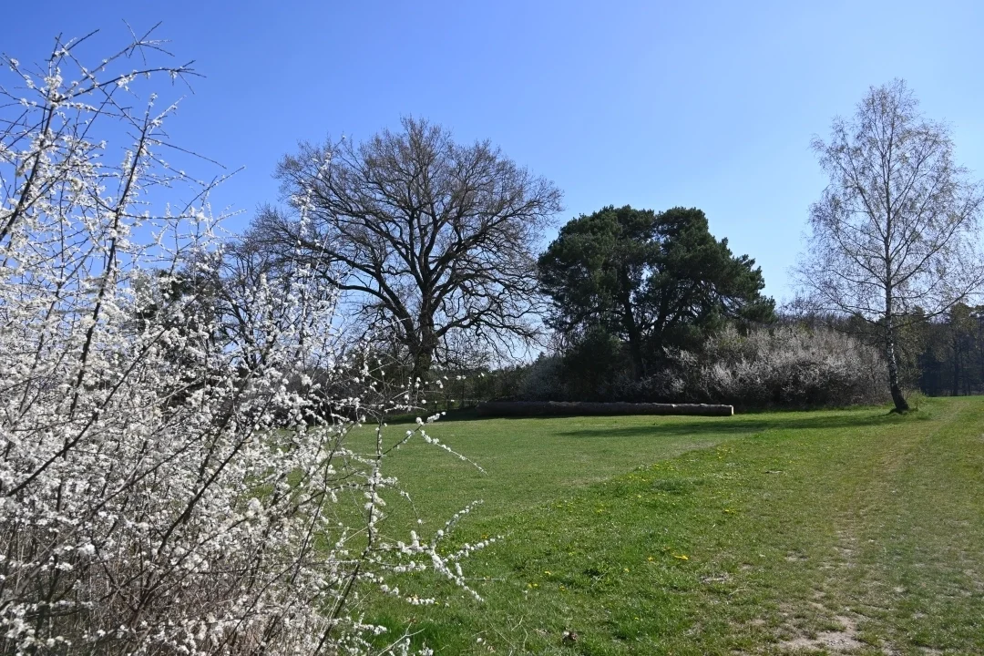 wandern-donau-ries