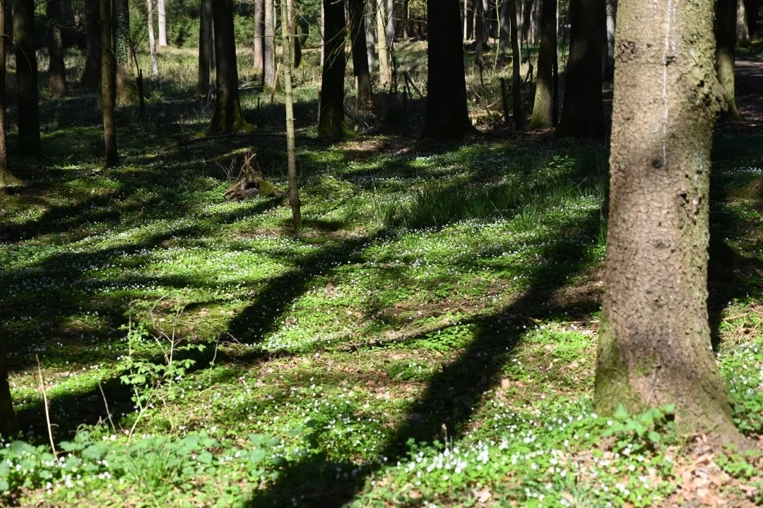 wandern-donau-ries