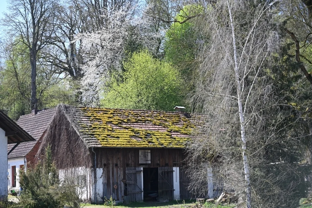 wandern-donau-ries