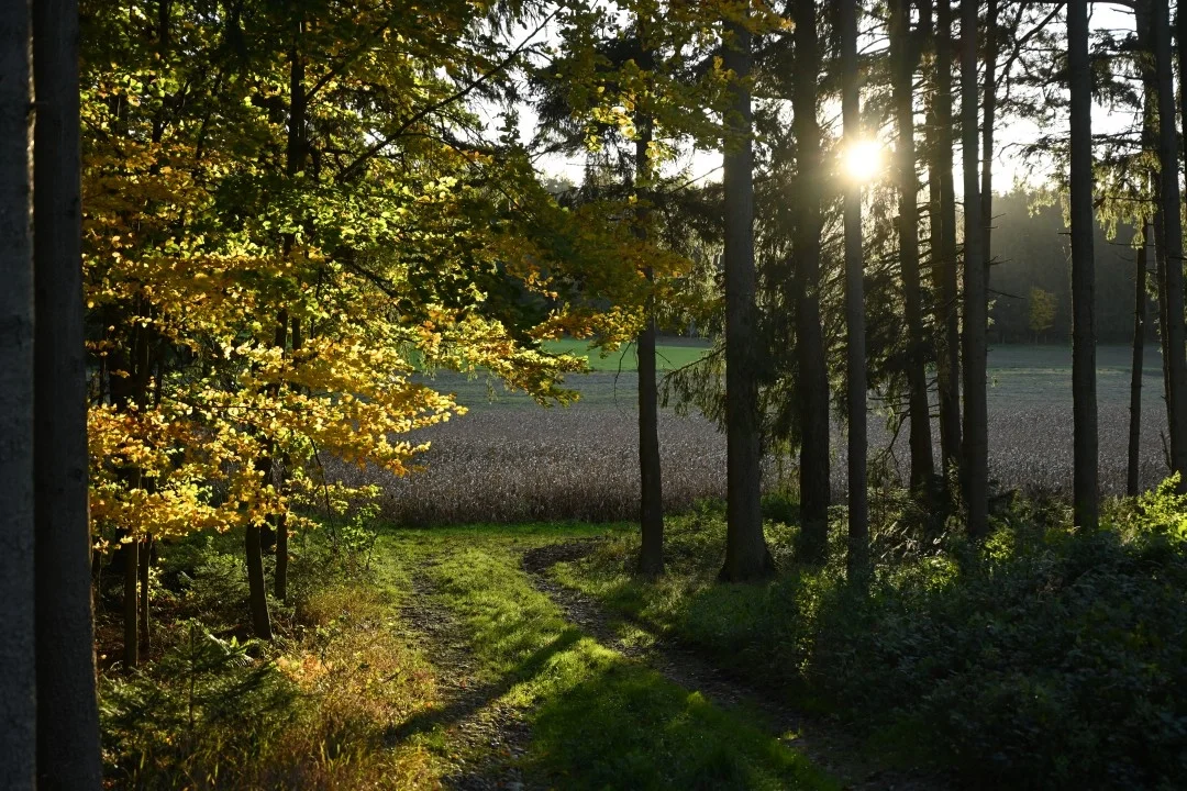 wandern-donau-ries