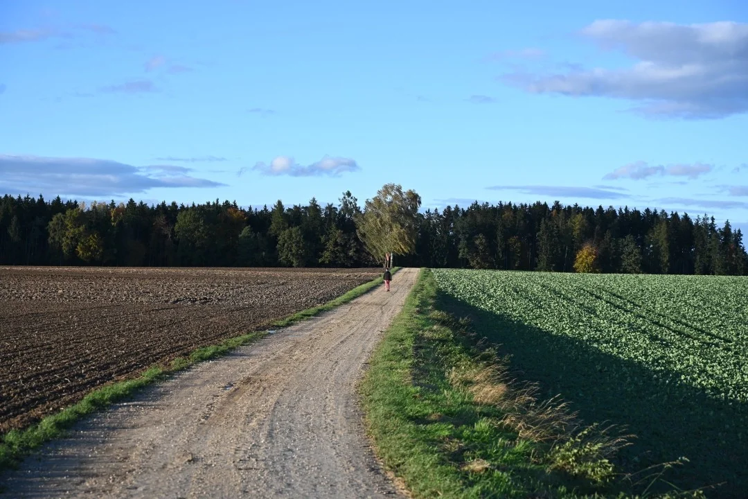wandern-donau-ries
