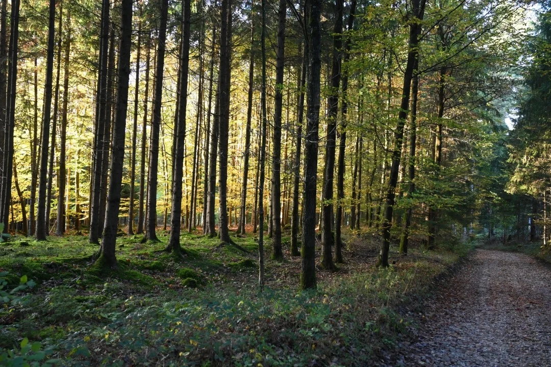 wandern-donau-ries