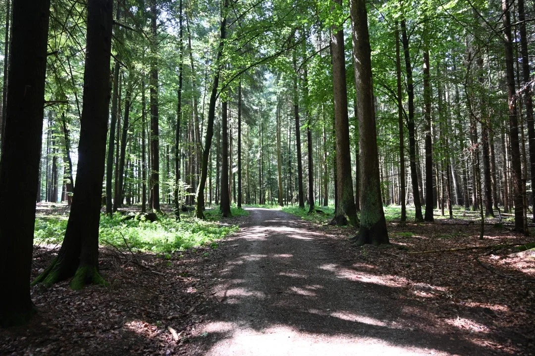 wandern-donau-ries