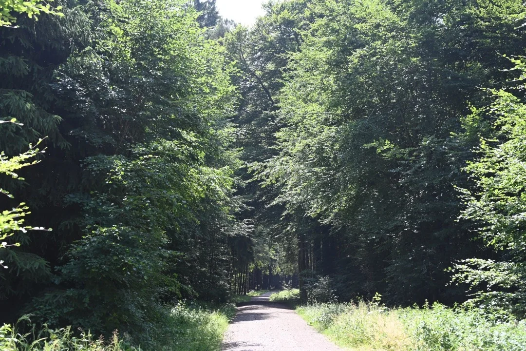 wandern-donau-ries