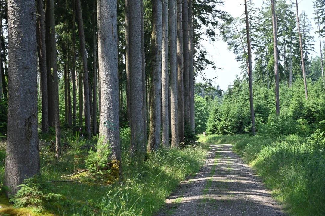 wandern-donau-ries