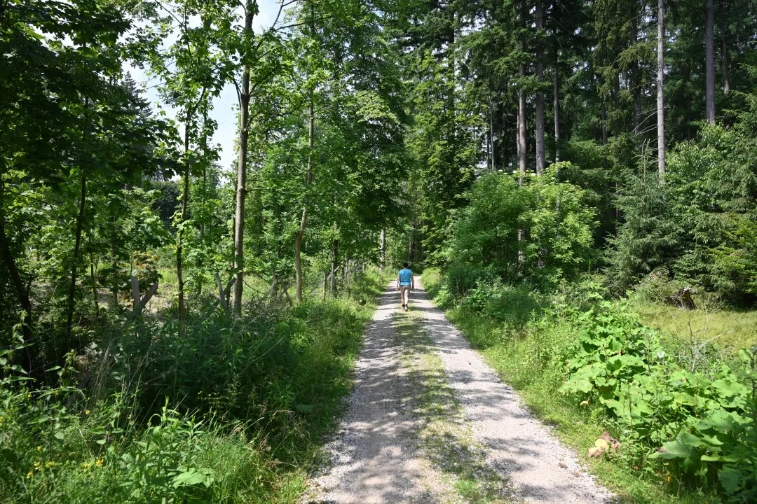 wandern-donau-ries