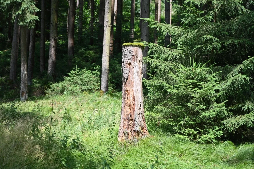 wandern-donau-ries