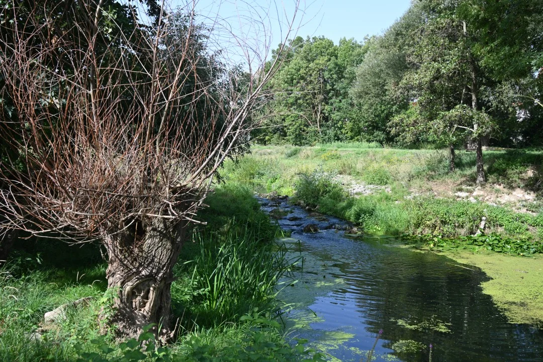 2026-08-27-noerdlingen-rieserMuehlenweg-34