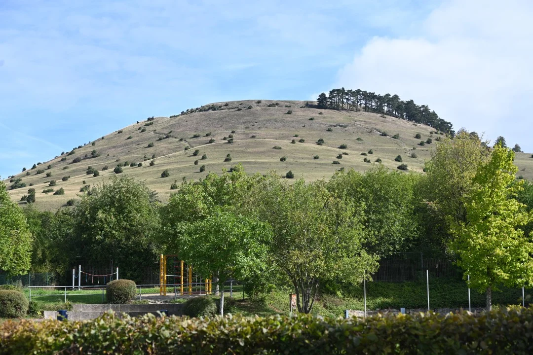 2026-09-03-utzmemmingen-rieserMuehlenweg-108