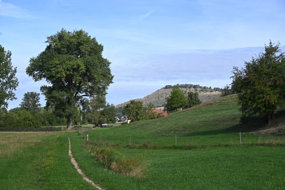 2026-09-03-utzmemmingen-rieserMuehlenweg-59