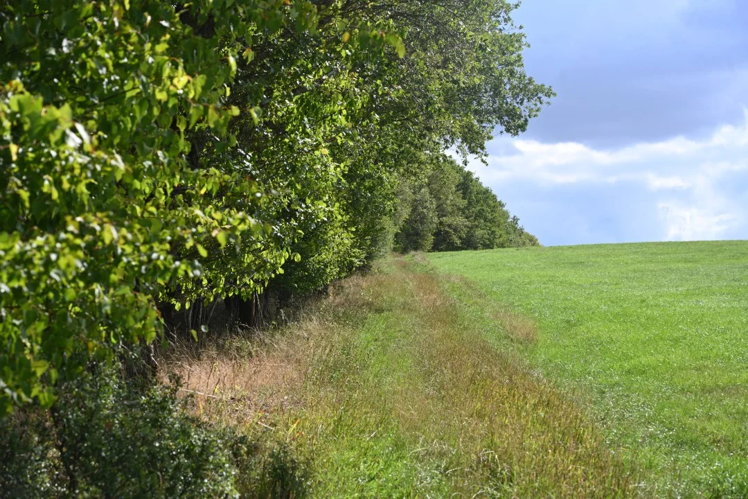 2026-09-12-ries-panoramaweg4-raustetten-unterwilflingen-26