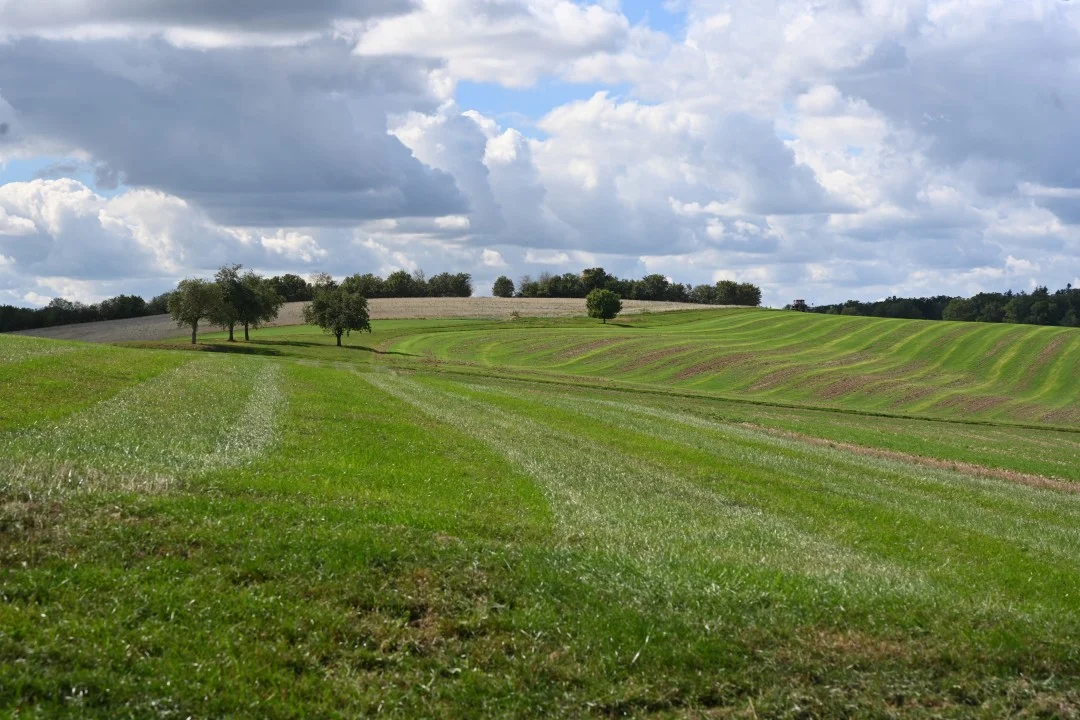 2026-09-12-ries-panoramaweg4-raustetten-unterwilflingen-29