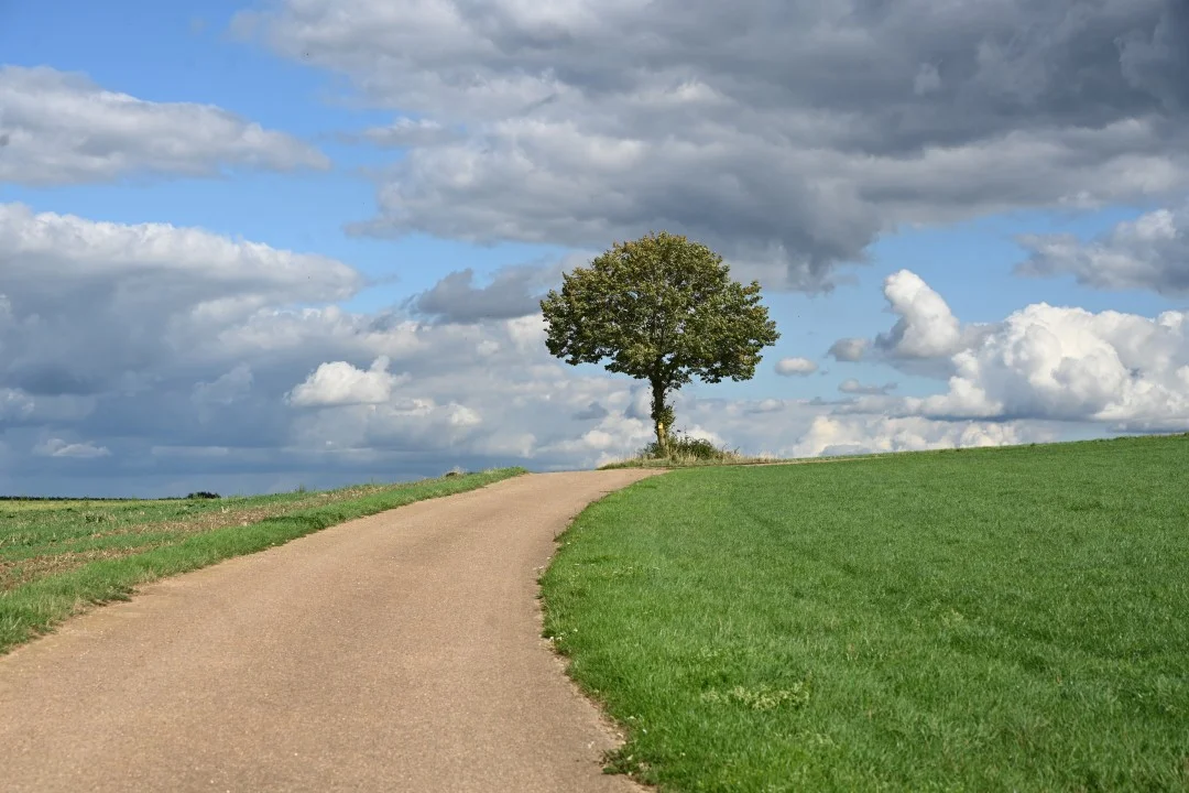 2026-09-12-ries-panoramaweg4-raustetten-unterwilflingen-91