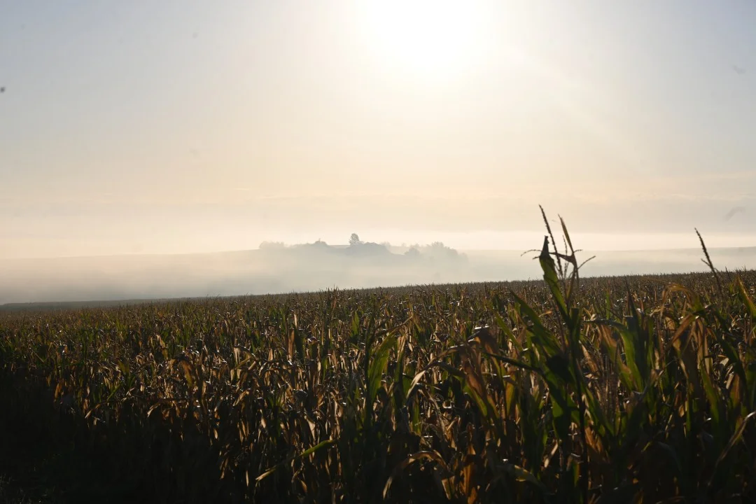 2026-09-17-ries-panoramaweg4-unterwilflingen-kirchheimAmRies-10