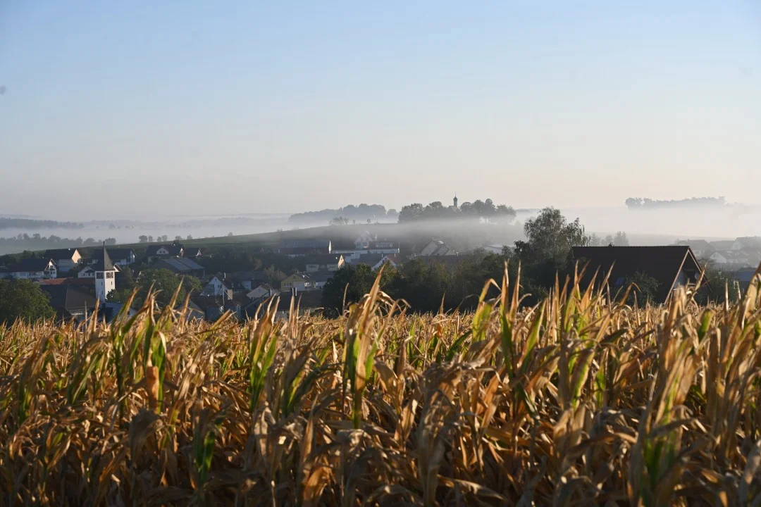 2026-09-17-ries-panoramaweg4-unterwilflingen-kirchheimAmRies-11