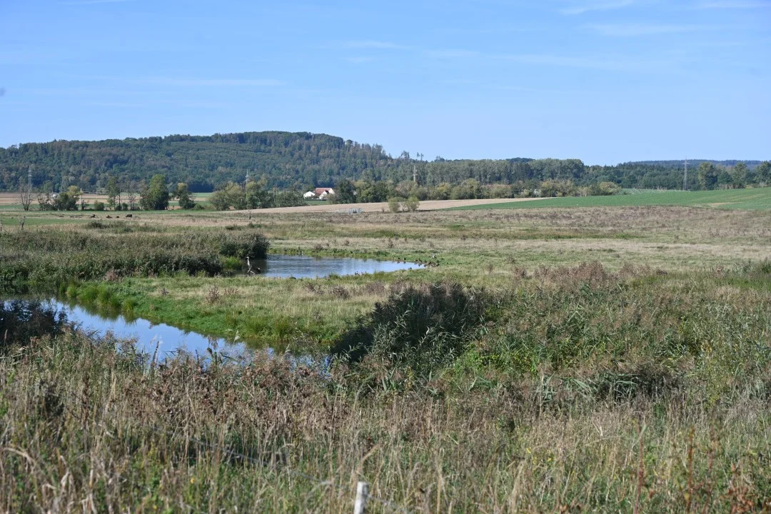 2026-09-17-ries-panoramaweg4-unterwilflingen-kirchheimAmRies-111