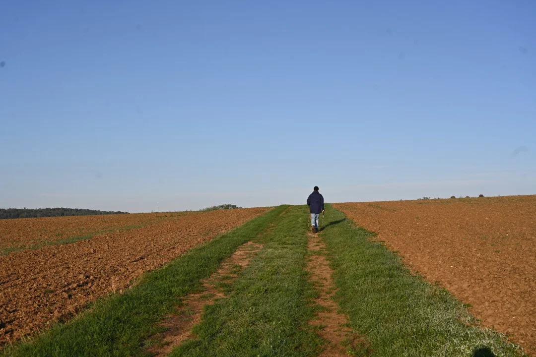 2026-09-17-ries-panoramaweg4-unterwilflingen-kirchheimAmRies-16-rosi