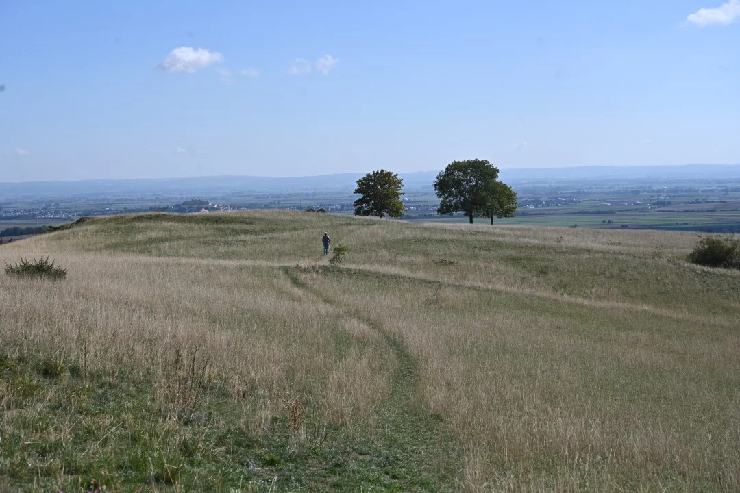 2026-09-17-ries-panoramaweg4-unterwilflingen-kirchheimAmRies-219-rosi