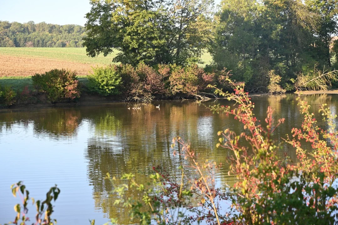 2026-09-17-ries-panoramaweg4-unterwilflingen-kirchheimAmRies-32