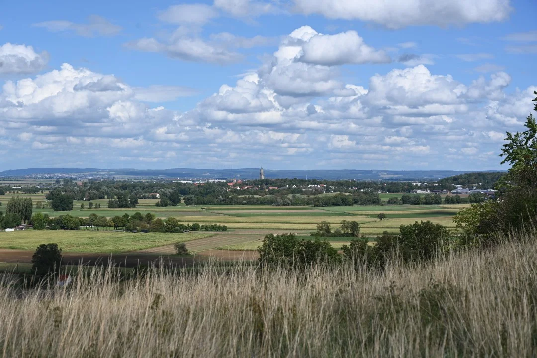 2026-08-31-riesPanaoramaweg-etappe6-utzmemmingen-ederheim-22