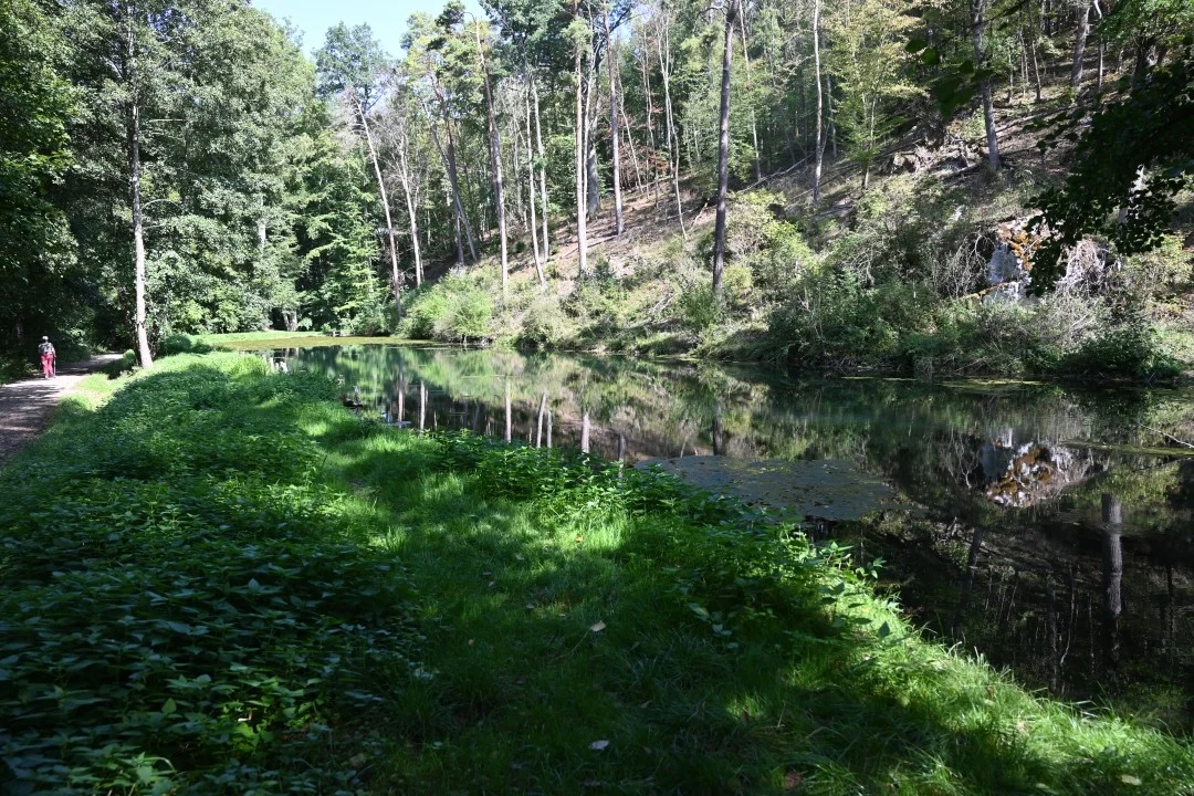 2026-09-08-riesPanoramaweg-etappe6-ederheim-moenchsdeggingen-176-rosi