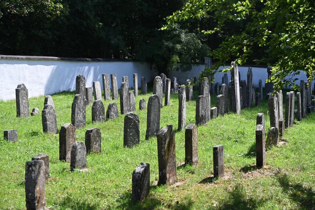 2026-09-08-riesPanoramaweg-etappe6-ederheim-moenchsdeggingen-231