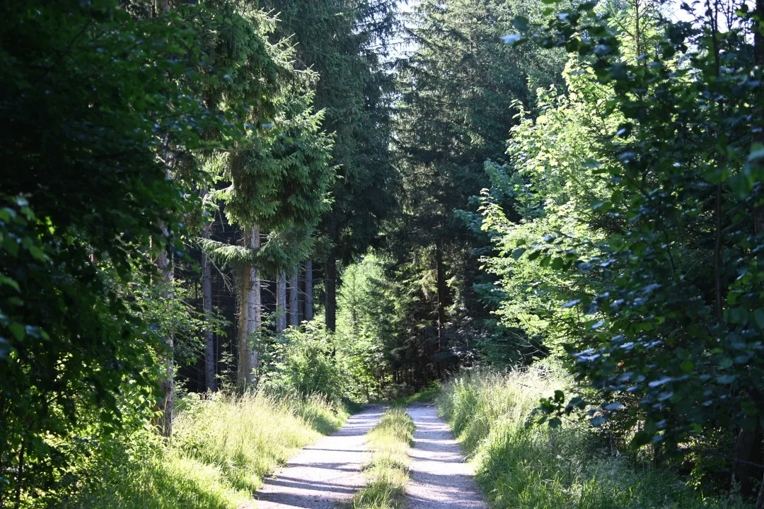 wandern-donau-ries
