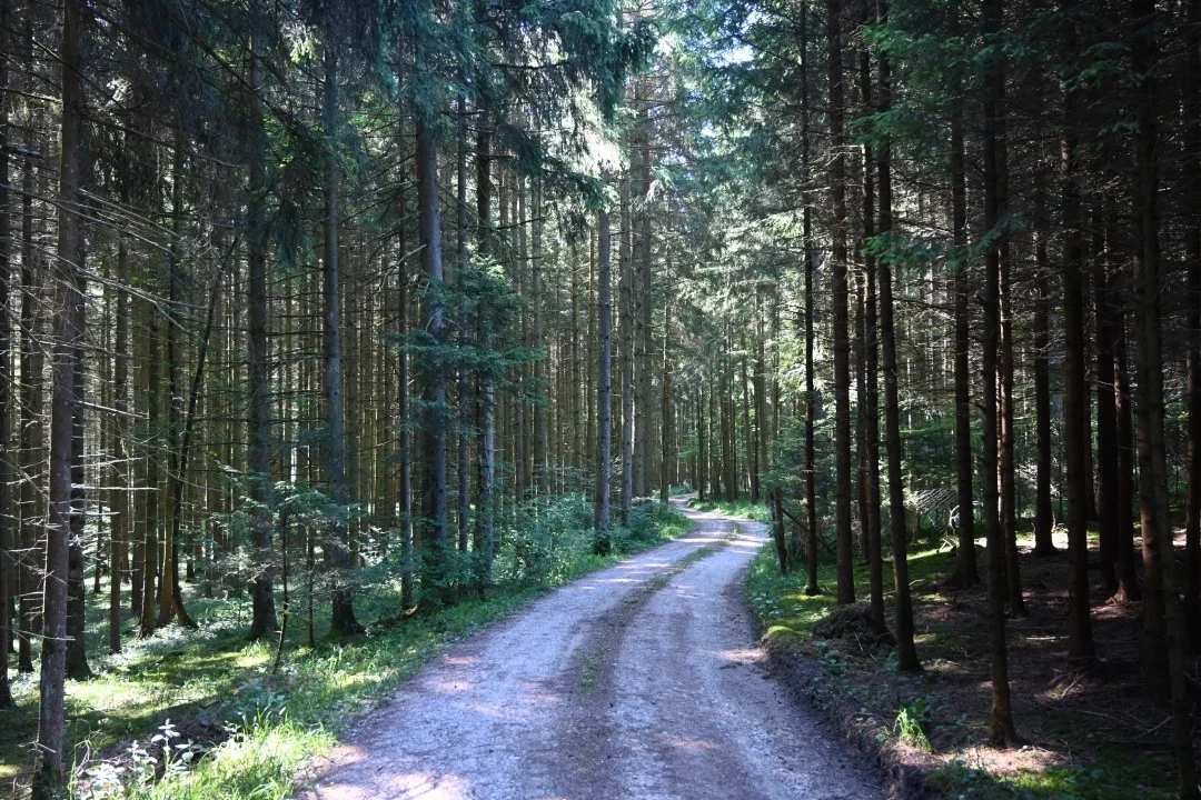 wandern-donau-ries