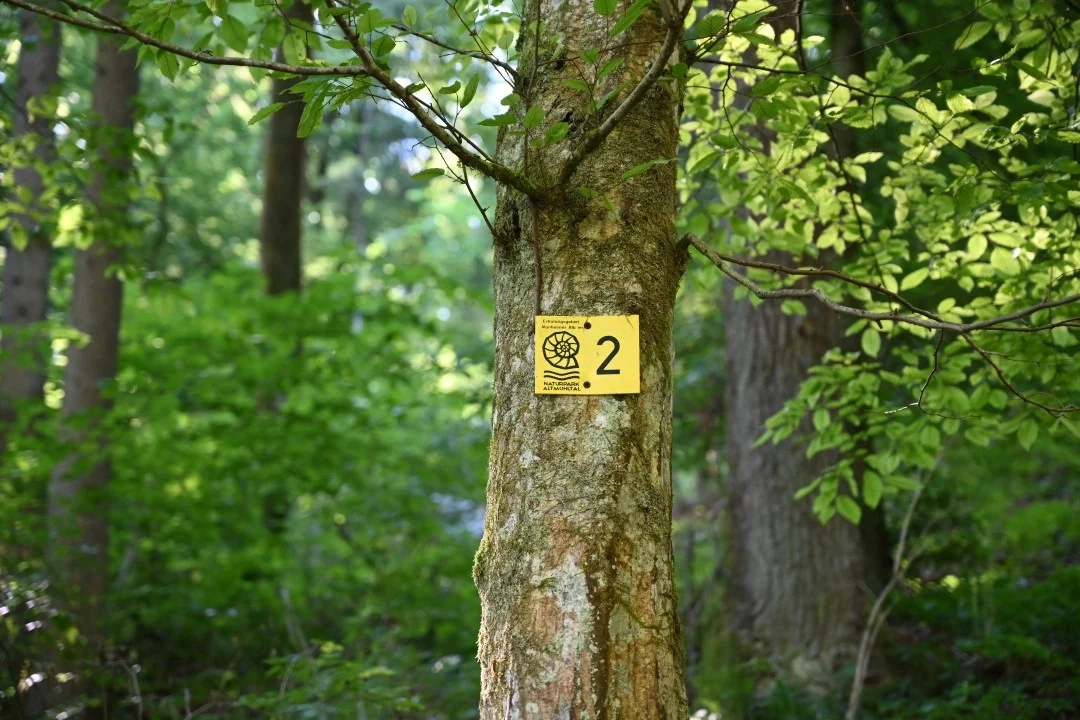 wandern-donau-ries