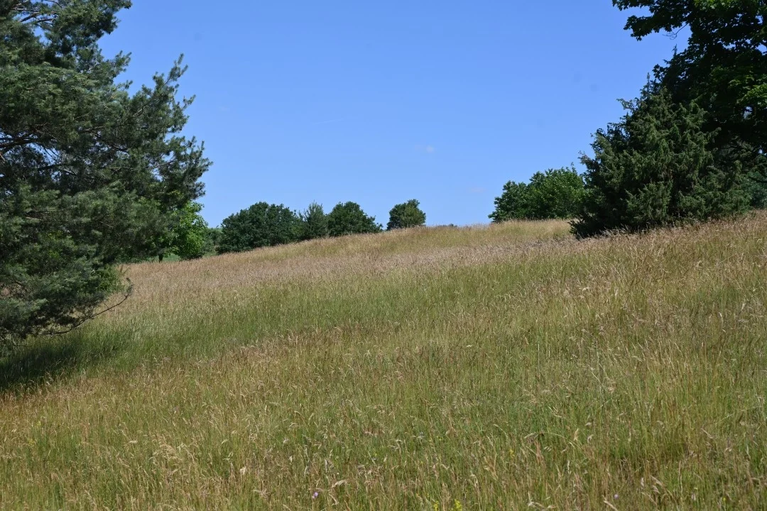 wandern-donau-ries