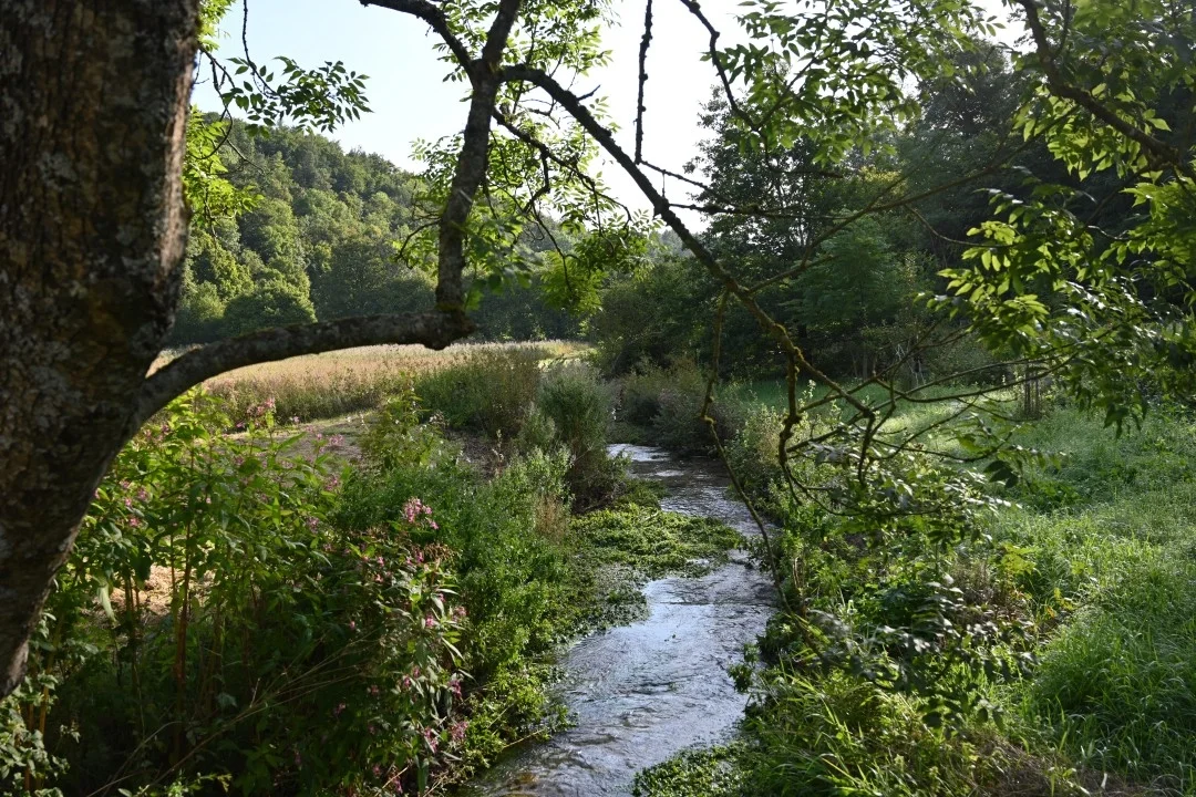 wandern-donau-ries