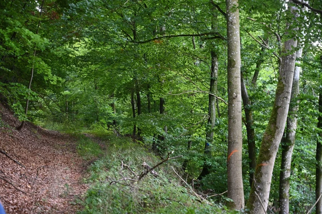 wandern-donau-ries