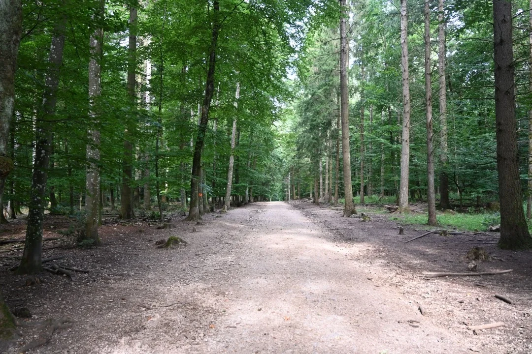 wandern-donau-ries