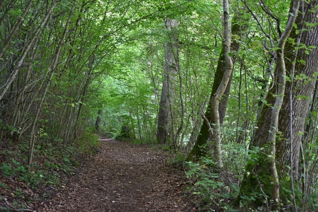 wandern-donau-ries