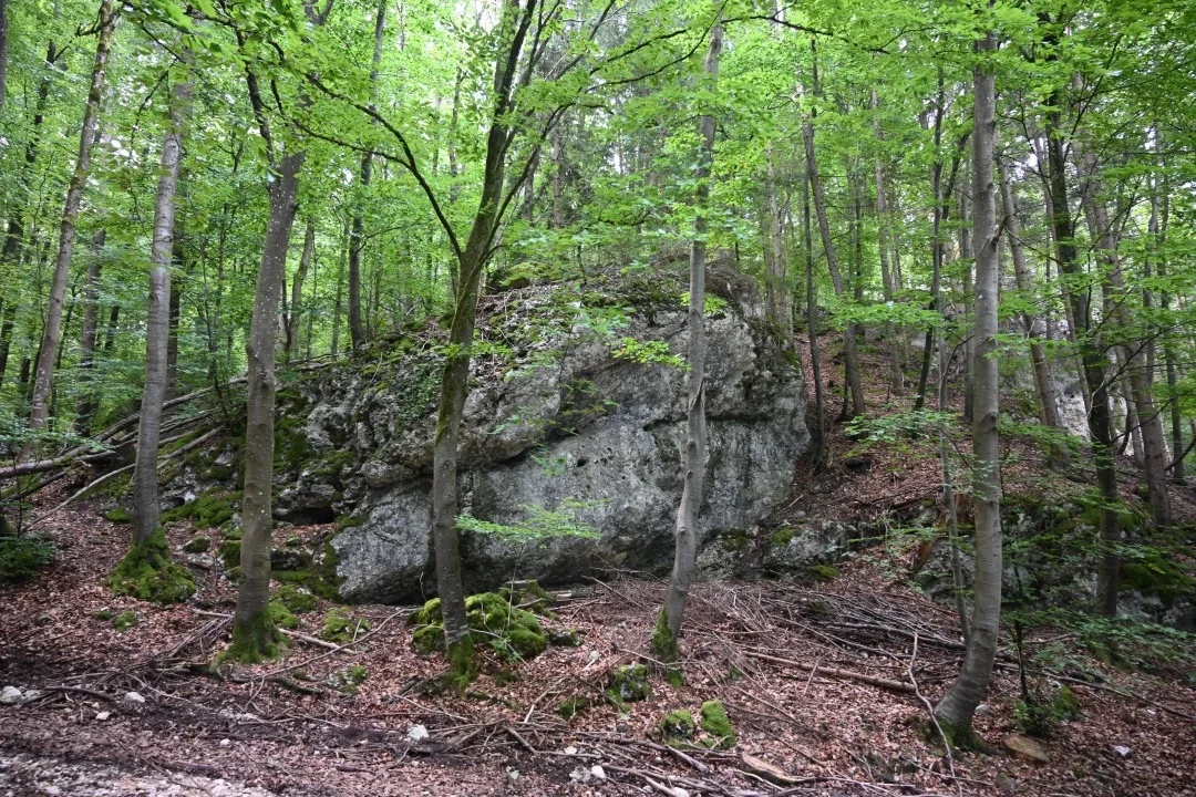 wandern-donau-ries