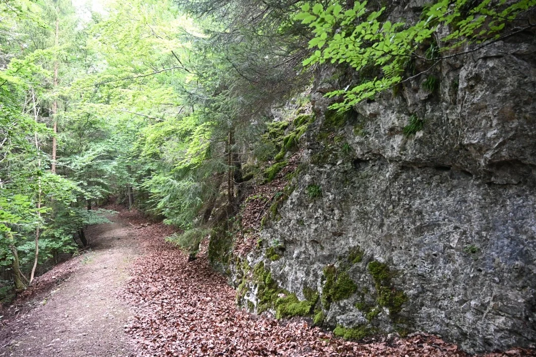 wandern-donau-ries