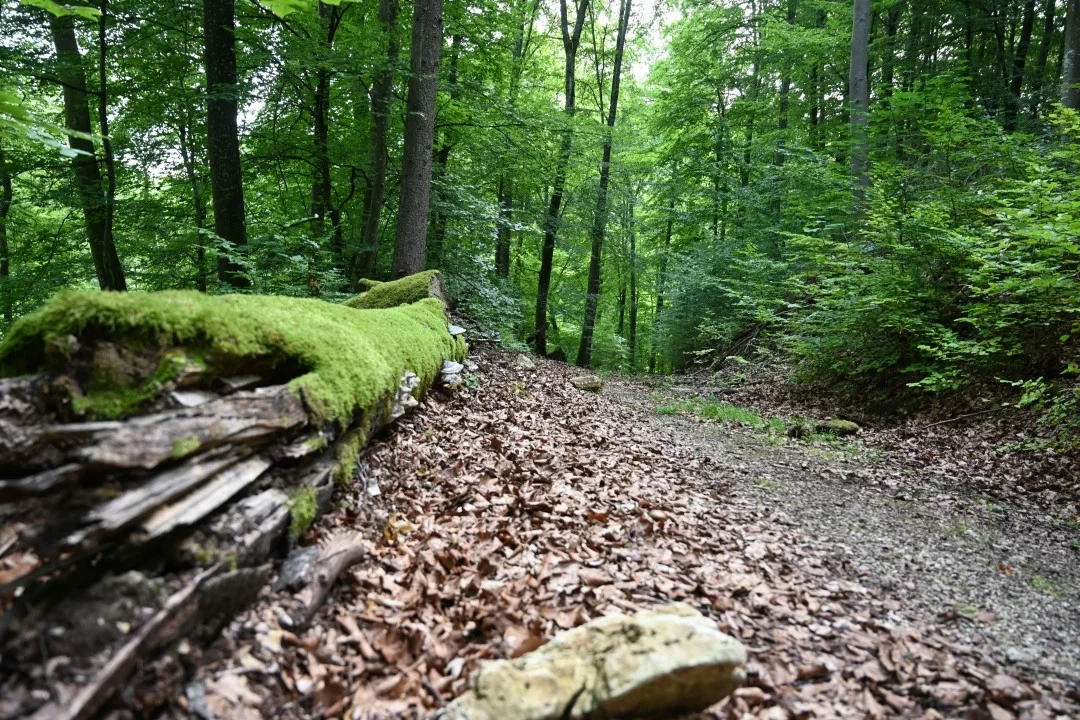 wandern-donau-ries