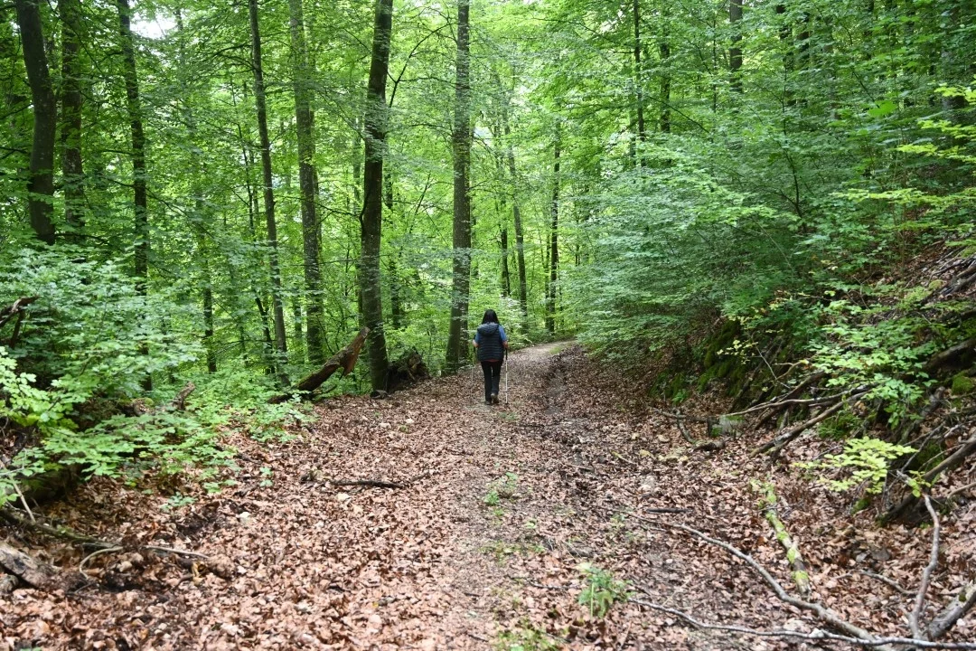 wandern-donau-ries