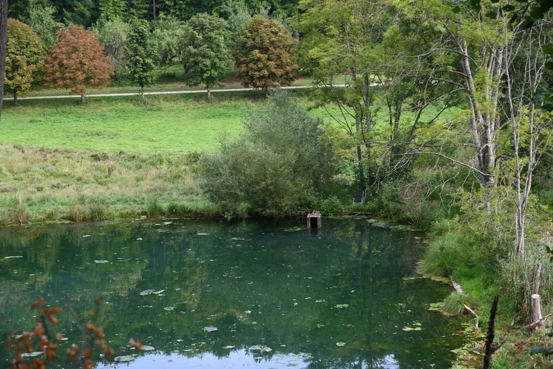 wandern-donau-ries