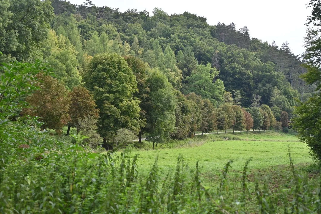 wandern-donau-ries