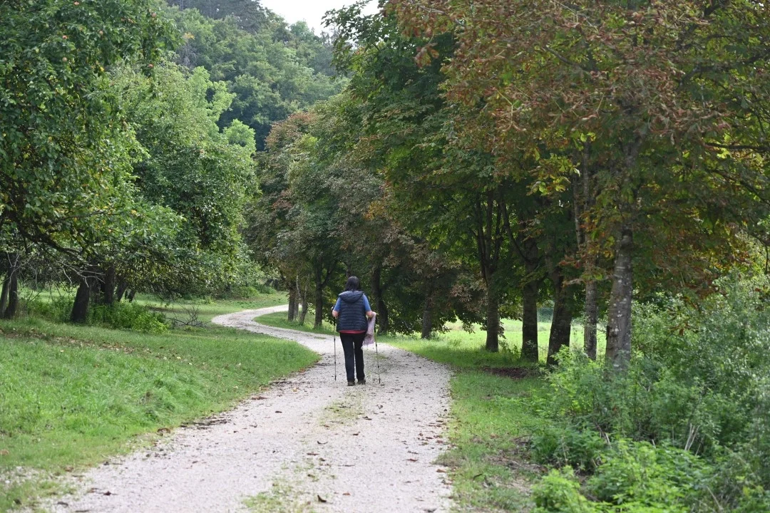 wandern-donau-ries