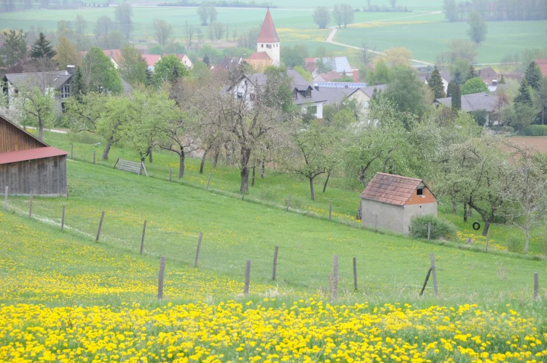 2010-05-01-oettingen-eichhoernchenweg1-25