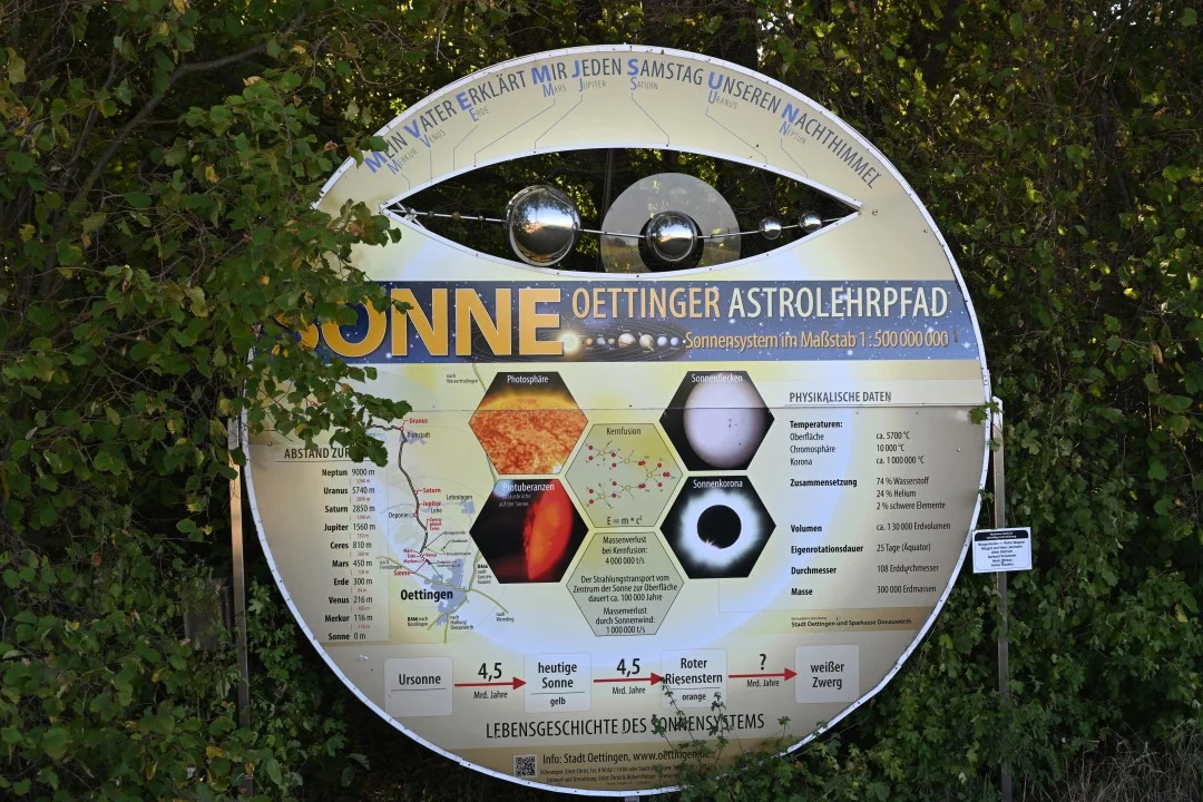 2026-08-13-oettingen-eichhoernchen1-23
