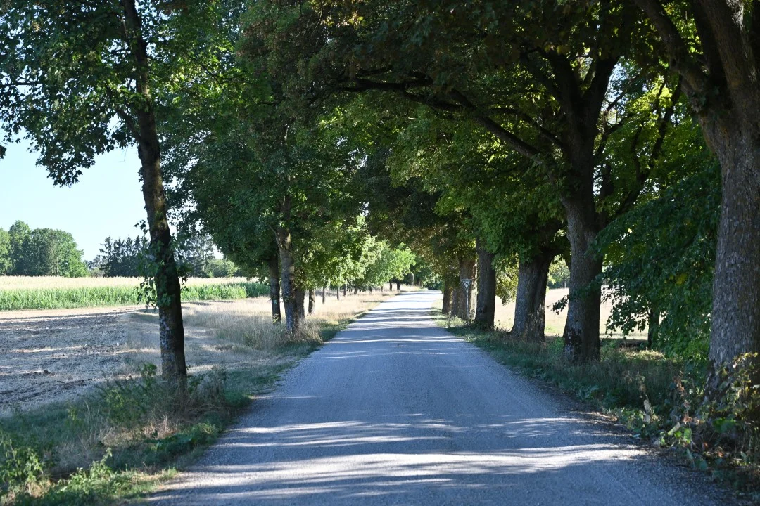 2026-08-13-oettingen-eichhoernchen1-31